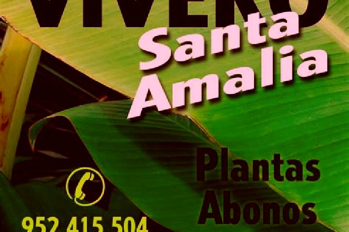 escort Santa Amalia