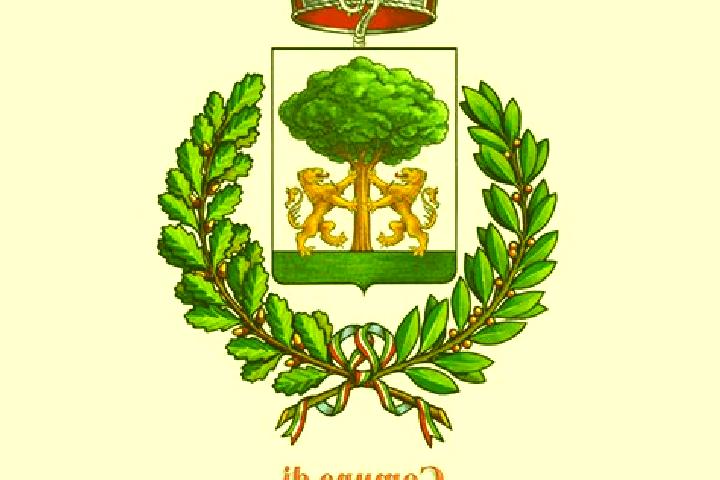 escort Sant Egidio del Monte Albino