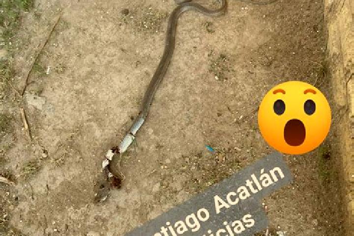 escort Santiago Acatlan