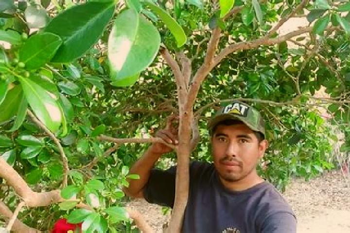 escort Santiago Sochiltepec