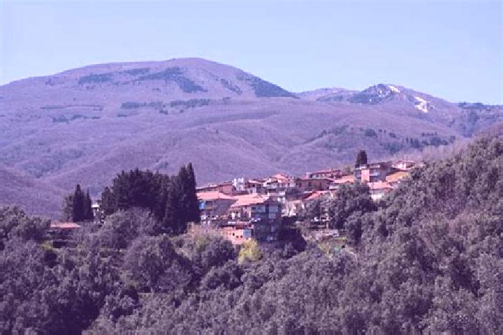 escort Santo Stefano in Aspromonte
