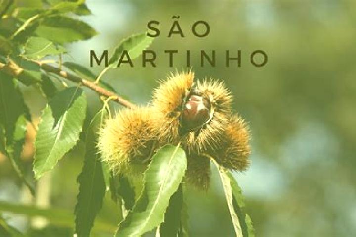 escort Sao Martinho