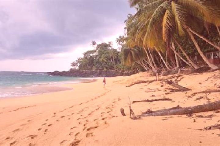 escort Sao Tome and Principe