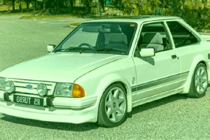 escort Sargstedt