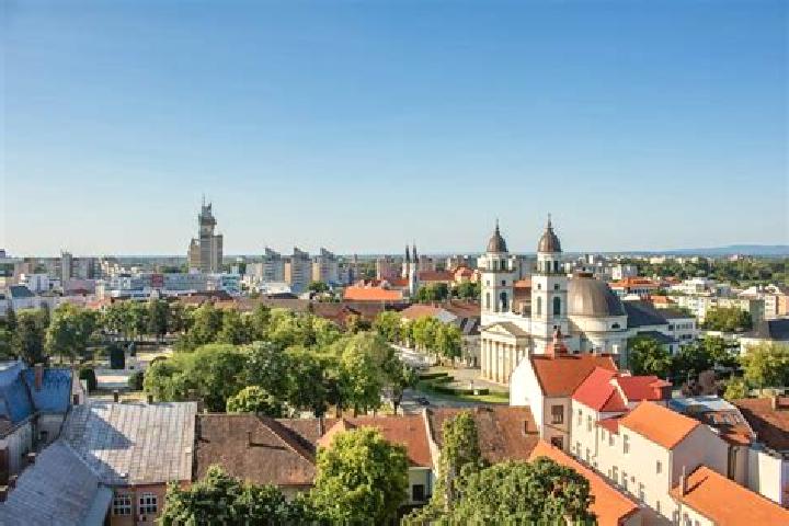 escort Satu Mare