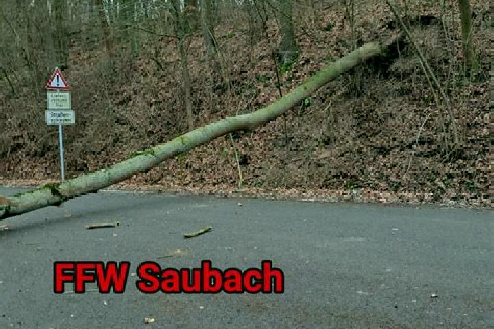 escort Saubach
