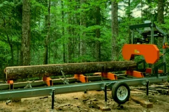 escort Sawmill