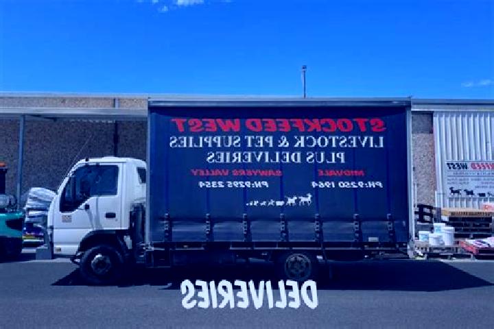 escort Sawyers Valley