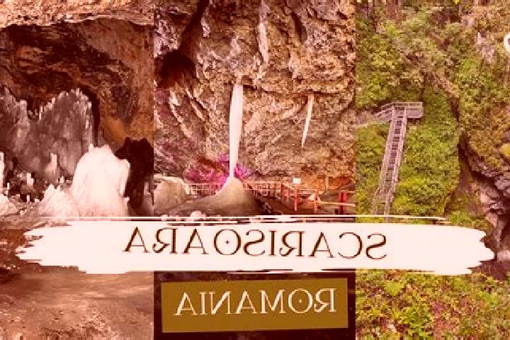 escort Scarisoara