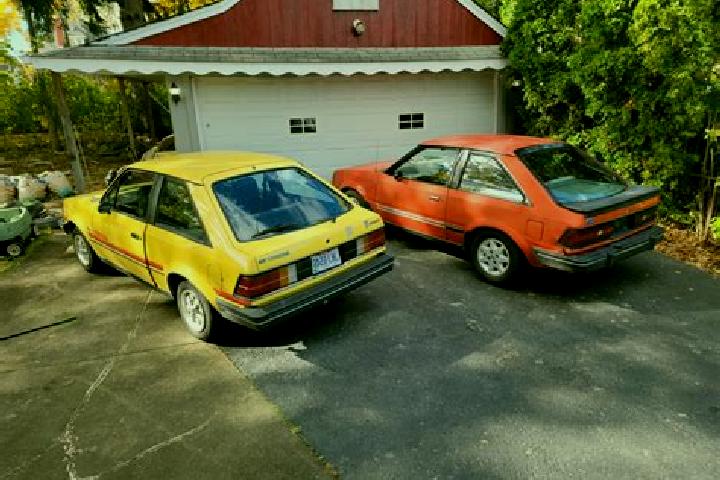 escort Schafstedt
