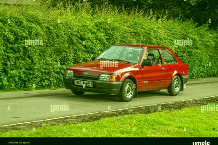 escort Schwarmstedt