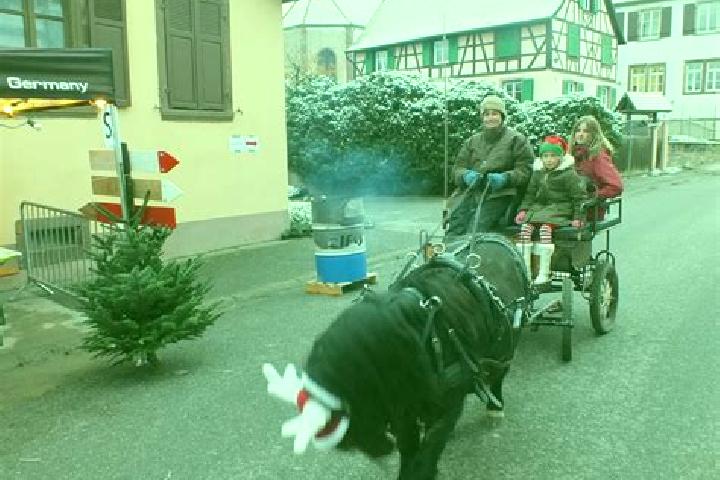 escort Schwenheim