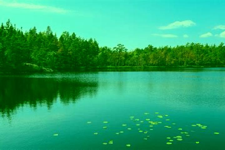escort Sea Lake