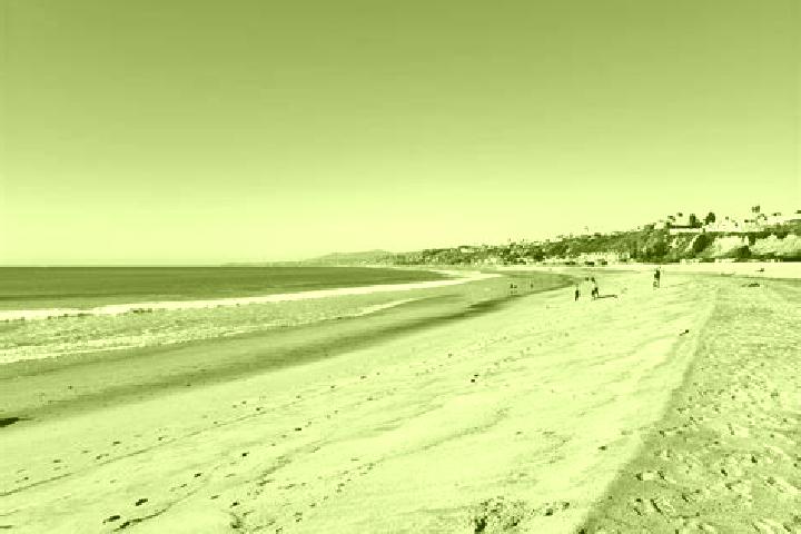 escort Seal Beach
