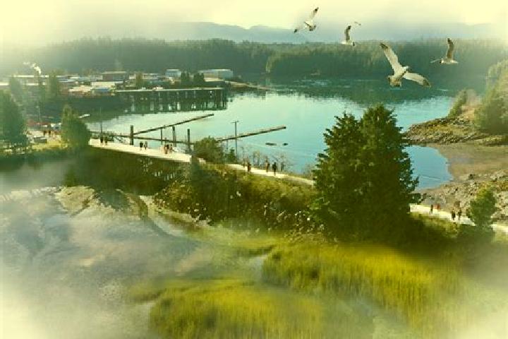 escort Seal Cove