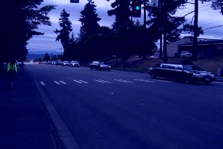 escort SeaTac
