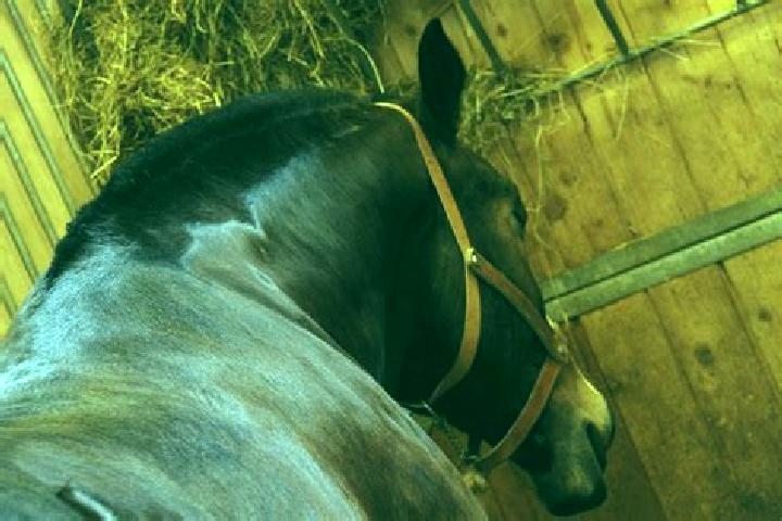 escort Sebazac-Concoures