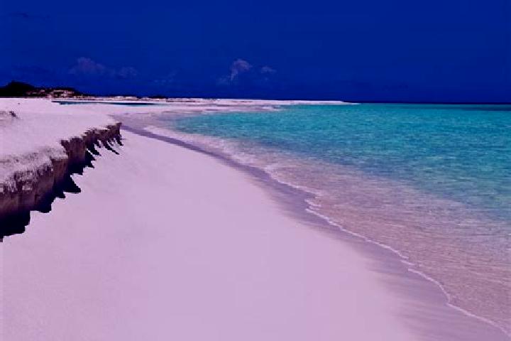 escort Seccion los Roques