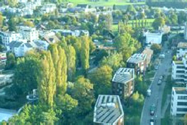 escort Seebach