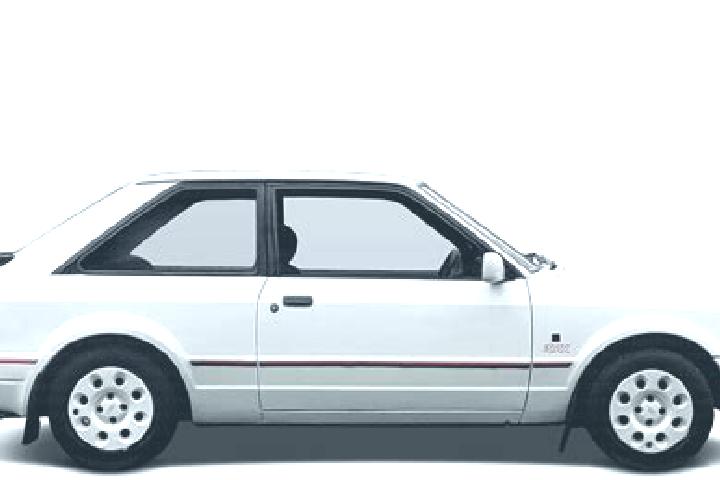 escort Seligman