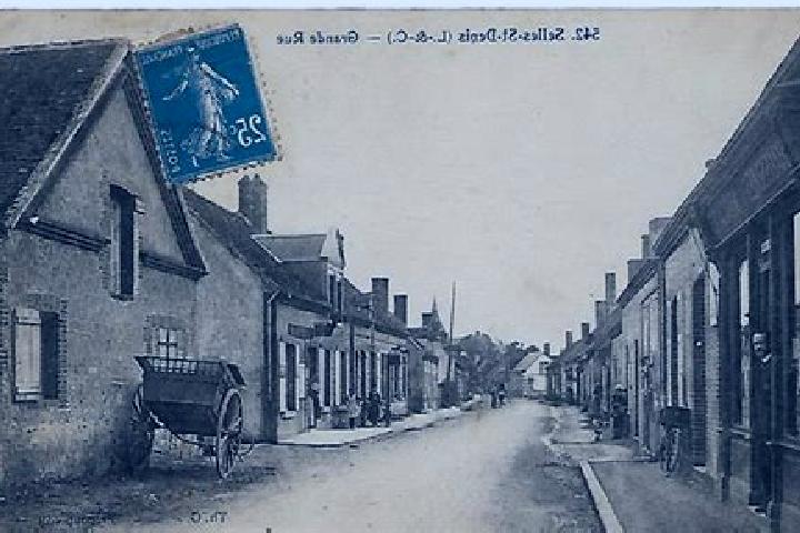 escort Selles-Saint-Denis