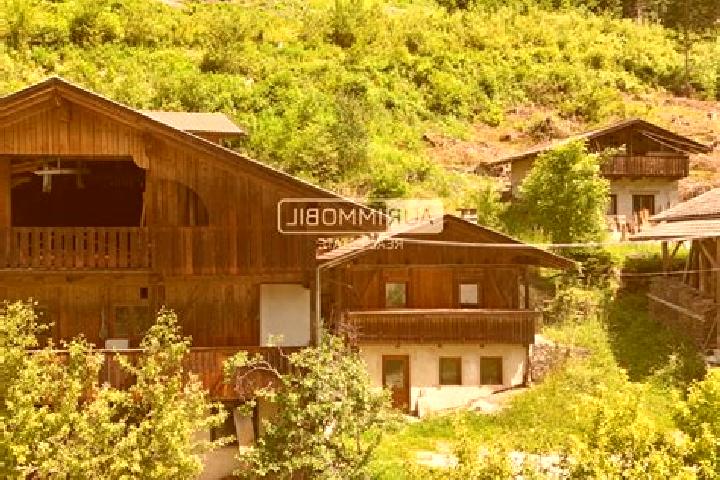escort Selva dei Molini