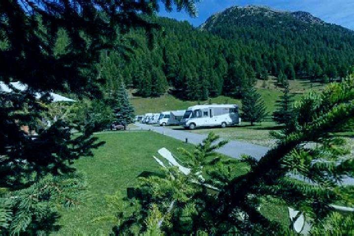 escort Selva di Progno