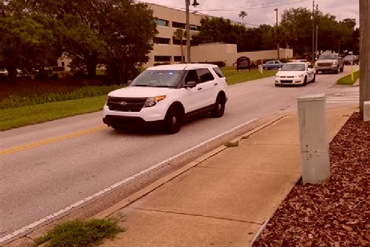 escort Seminole
