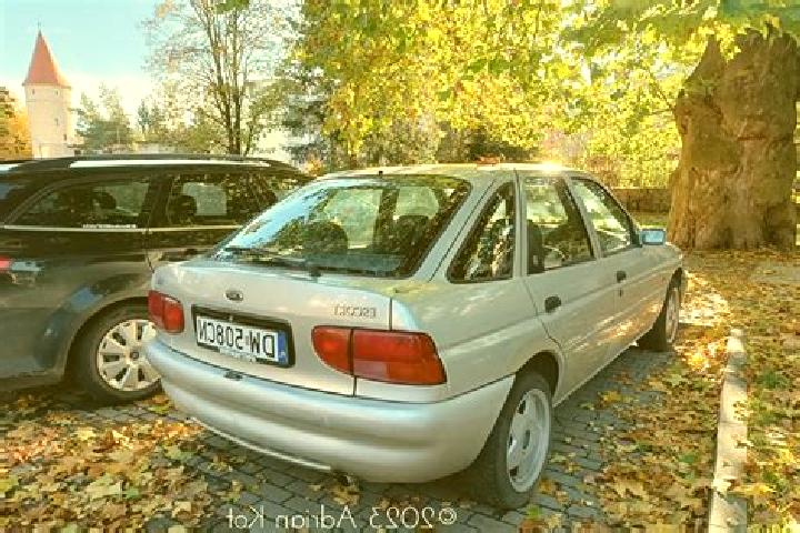 escort Senerchia