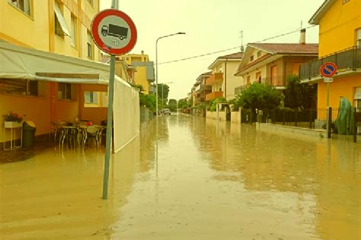 escort Senigallia