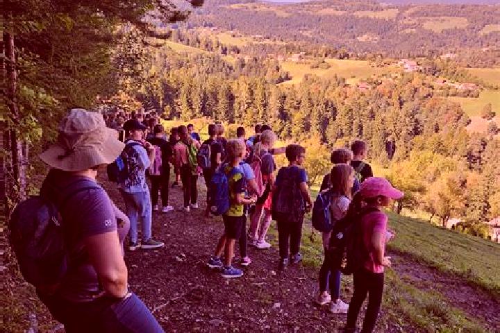 escort Sentjanz pri Dravogradu