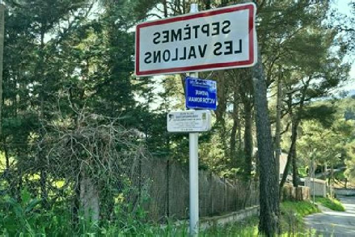 escort Septemes-les-Vallons