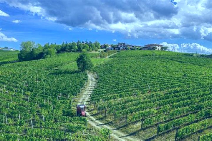 escort Serravalle Langhe