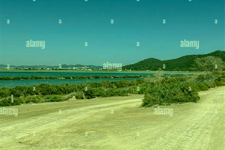 escort Ses Salines
