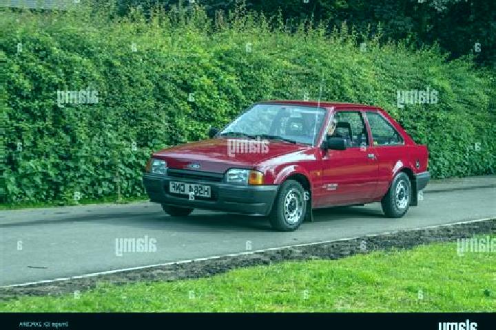 escort Settat