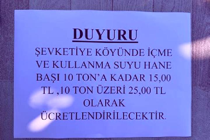 escort Sevketiye