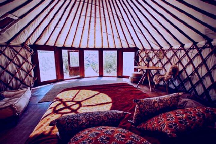 escort Shaami-Yurt