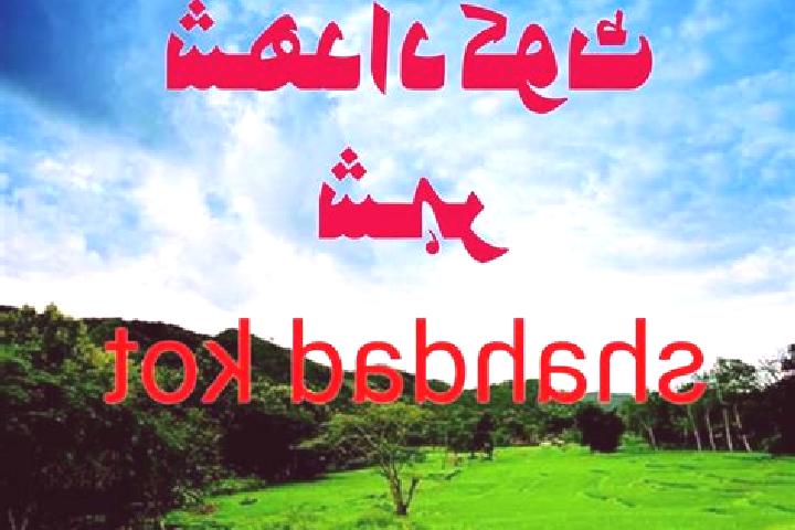escort Shahdad Kot