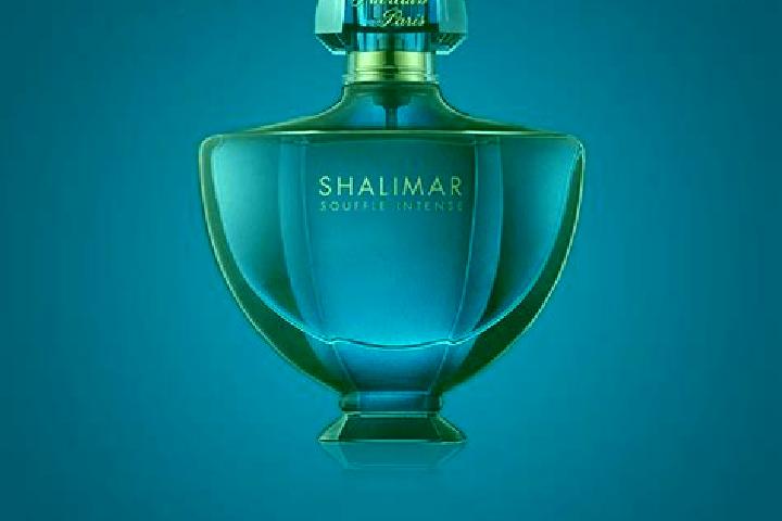 escort Shalimar