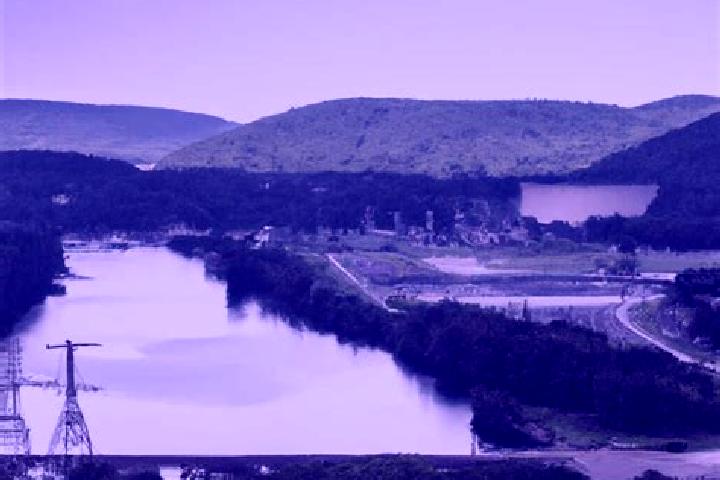 escort Shamokin Dam