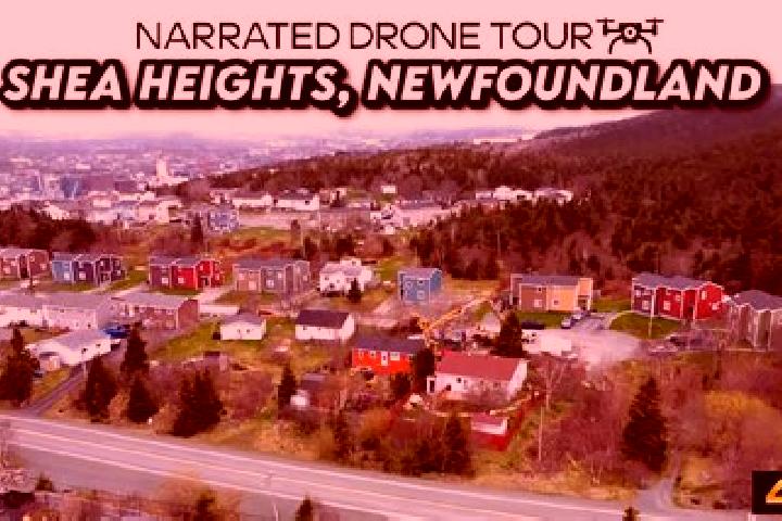 escort Shea Heights