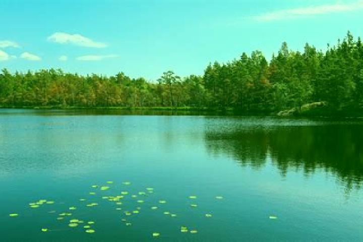 escort Sheffield Lake