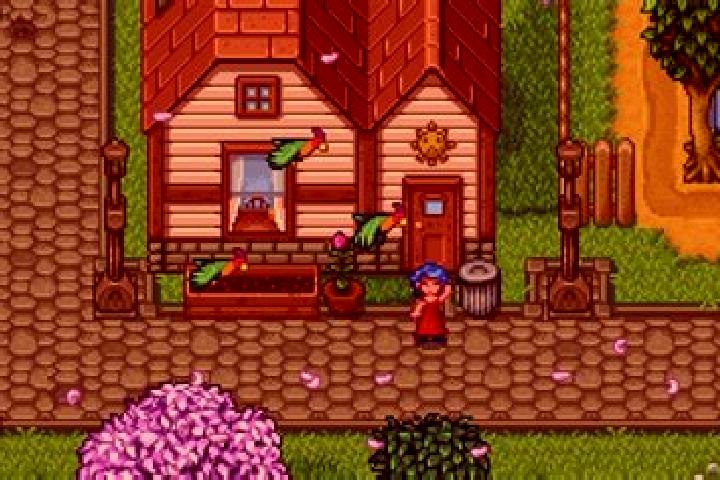 escort Shell Valley