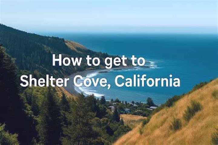 escort Shelter Cove