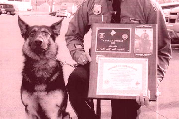 escort Shepherd