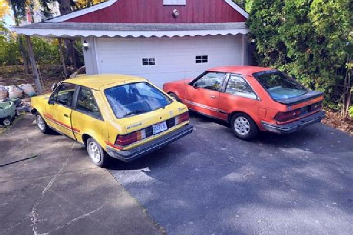 escort Shikang