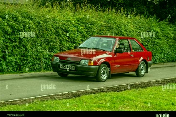 escort Shoctic