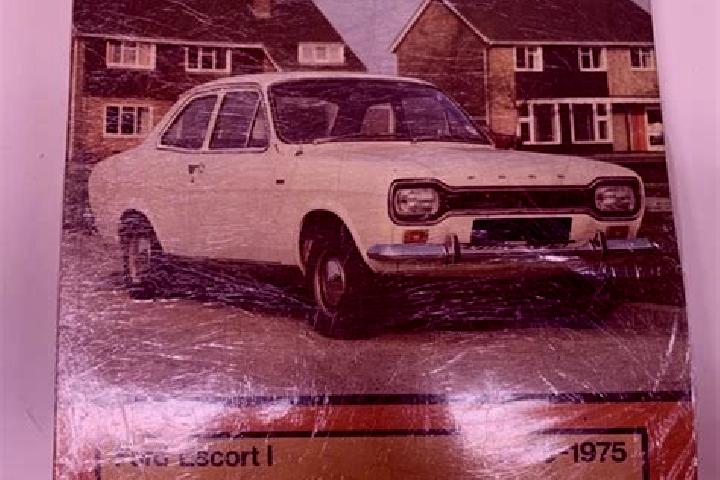 escort Showa