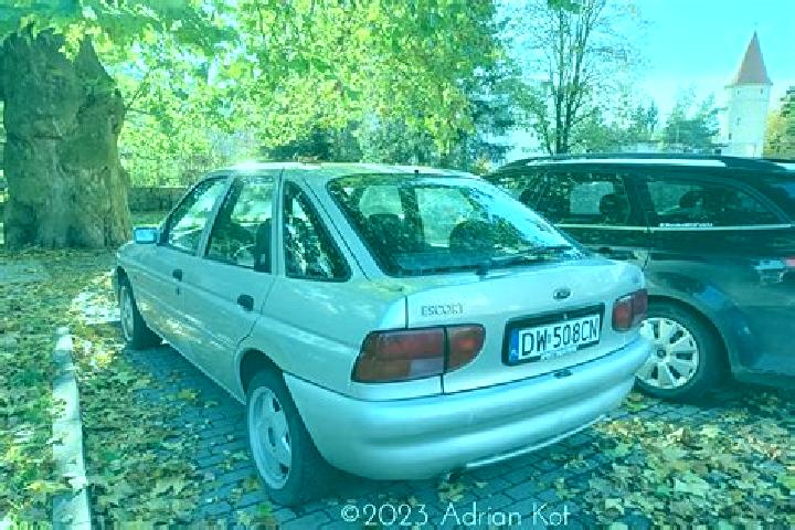 escort Siculeni