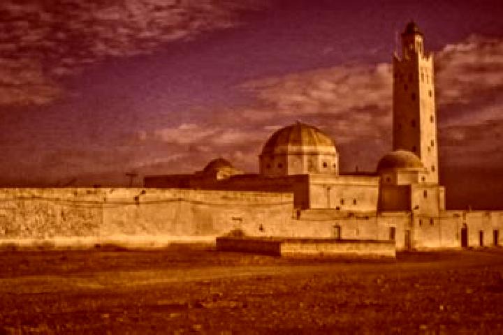 escort Sidi Bin Zinah